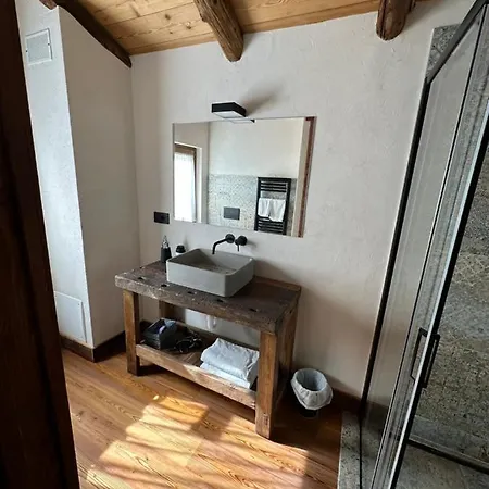 Orman Evi Raccard De Montagne