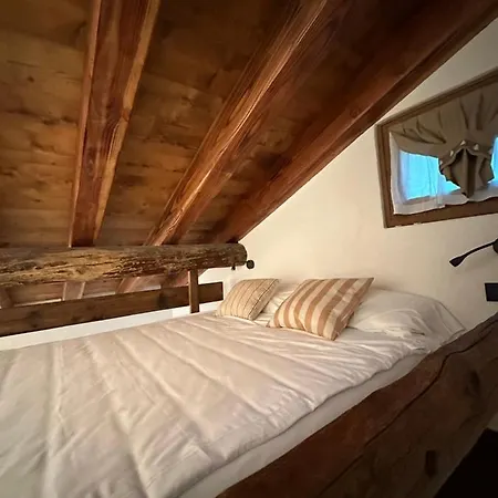 Raccard De Montagne Orman Evi