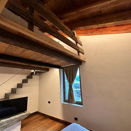 Orman Evi Raccard De Montagne Torgnon