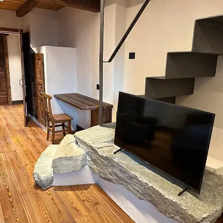 Orman Evi Raccard De Montagne